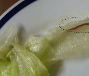 유명 체인점 햄버거 먹다 5cm 붉은 벌레 '기겁'