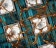 삼성전자, 뇌닮은 '뉴로모픽'칩 미래비전 제시