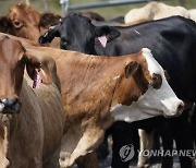 메탄 저감 지구온난화 잠재적 돌파구.."CO₂만큼 노력 필요"