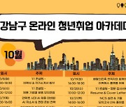 강남구, 청년 구직자 300명 '언택트 면접' 돕는다