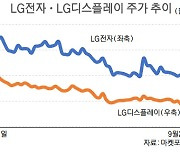 흔들리는 LG그룹株..목표가 줄하향