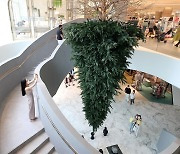 롯데백화점 동탄점에는 나무가 '거꾸로' 있다!