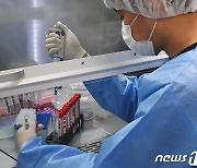 '코로나19 신속 PCR 검사'