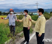 강용구 전북도의원 "벼 병해충 확대 긴급재난지역 선포해야"