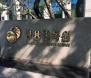 금감원, 매주 '대내외 리스크 상황점검 TF' 회의 개최