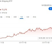 1년 수익률 320%..미국서 3배 레버리지 상품 수익률과 맞먹는 ETF는