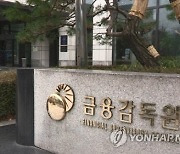 정은보 "퍼펙트스톰 우려"..금감원, 리스크 점검TF 가동