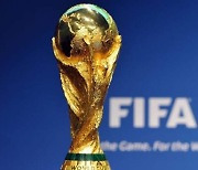 '월드컵 2년 주기 개최' 논의..정몽규 축구협회장 직접 FIFA 화상 회의 참여