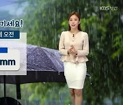 [날씨] 부산 내일 천둥·번개 동반한 '비'.."우산 챙기세요!"