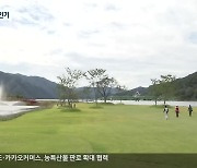 '산천어' 의존 화천, 이젠 '파크골프장'도 육성