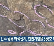 진주 공룡 화석산지, 천연기념물 566호 확정