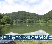 대청호 추동수역 조류경보 '관심' 발령