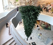 [포토] 롯데백화점 동탄점 '거꾸로 나무'