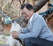 S. Korean president proposes review to ban dog meat