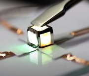 S. Korean researchers develop technology for free-form foldable QLED display