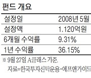 한국투자글로벌브랜드파워펀드, 100대 세계 브랜드에 투자..1년 수익률 36%
