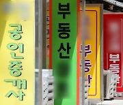 핫플레이스 명동·이태원에 넘치는 '빈 상가'.. 서울 대형 공실률 '15.2%'