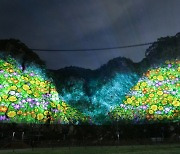 원주 간현관광지 야간 코스 '나오라 쇼' 10월 1일 개장