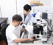 생명연 '초소형 크리스퍼' 기술 개발..유전자치료 새 전기 마련