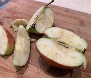 버려지는 사과를 구제하는 두 가지 방법