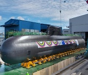 현대중공업, SLBM탑재 최신예 잠수함 '신채호함' 공개