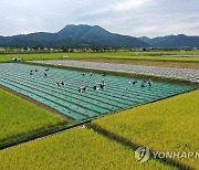 가을들녘의 이모작