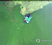 대청호 녹조 심화..대전 추동 수역 조류경보 '관심'