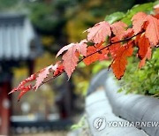 풍경소리 청량한 가을밤에 정선 정암사 개산문화제