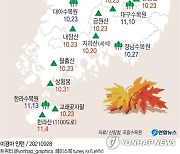 [그래픽] 올해 국내 단풍 절정 예상일