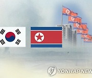 북한 매체 "남한의 평화타령, 구차한 변명" 비난