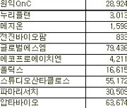 [표]코스닥 외국인 연속 순매수 종목(28일)