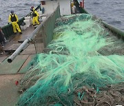 해경, '39.3mm 촘촘한 그물로 싹쓸이 불법조업' 중국 어선 1척 나포