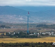 누런 벼 익어가는 북한 기정동 마을