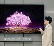 올레드 TV 성장 가속..올해 1.5조 더 팔린다