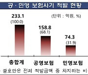 금감원, 보험사기 공동조사 보험사기 233억원 적발