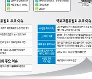 [2021 국정감사]'플랫폼 국감', 시장독점 수수료 논쟁에 빅테크 홍역