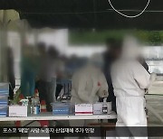 외국인 집단감염, 추석 연휴 여파 본격화