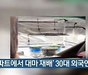 '아파트에서 대마 재배' 30대 외국인 구속