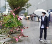 [오늘 날씨] "우산 챙기세요" 전국 흐리고 비..밤부터 차차 그쳐 