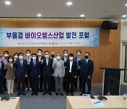 [경남브리핑] 경상남도, 부울경 바이오헬스산업 발전 포럼 개최