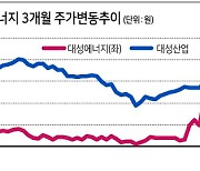 정치테마·에너지테마..'같은 듯 다른' 대성산업·대성에너지 형제