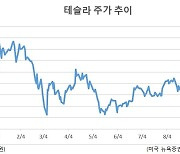 성장주 부진서 홀로 선전..부활하는 테슬라