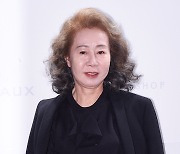 윤여정 측 "'나무는 서서 죽는다' 출연 제안받은 작품 중 하나"(공식)