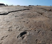진주 정촌 공룡·익룡발자국화석 산지, 천연기념물 됐다