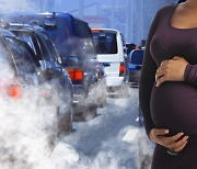 [사이언스 브런치] 대기오염, 온난화 일으키더니 영유아 사망률도 높여