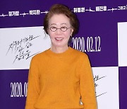 "윤여정, 드라마 '나무는 서서 죽는다' 제안 받고 검토 중"[공식]