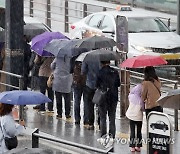 제법 굵은 빗방울 떨어지는 서울