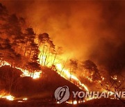 소방청, 가을철 대형산불 대비 내일 유관기관 합동훈련