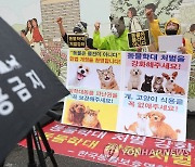 '동물학대 처벌 강화를 촉구'