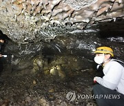 제주서 국제보호지역 관리자 워크숍..국내외 217명 온라인 참여